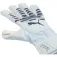 Puma Future Play NC Torwarthandschuhe