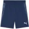 Puma Short IndividualFinal