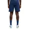 Puma Short IndividualFinal