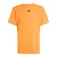 adidas D4T Essentials 반팔 티셔츠