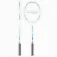Softee Raquette de badminton B1000