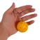 Softee Clauer Pickleball