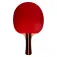 Softee Raqueta de tenis de mesa P200