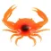 Ragot Crab S soft lure