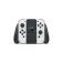 Nintendo Switch OLED JP switch