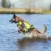 Axaeco Aqua Life Jacket