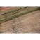Carp expert Max2 landing net head