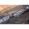 Carp expert Neo Protect Gomada 捞网