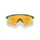 Oakley Resistor sweep aurinkolasit