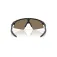 Oakley Resistor sweep aurinkolasit