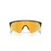 Oakley Resistor sweep solbriller