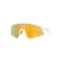 Oakley Resistor sweep aurinkolasit