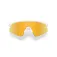 Oakley Resistor sweep aurinkolasit