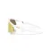 Oakley Resistor sweep solbriller