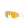 Oakley Resistor sweep aurinkolasit