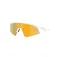 Oakley Resistor sweep aurinkolasit