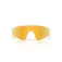 Oakley Resistor sweep solbriller