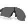 Oakley Gafas de sol Stunt devil s