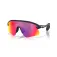 Oakley Stunt devil s solglasögon