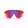 Oakley Stunt devil s サングラス