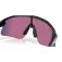 Oakley Stunt devil s solglasögon