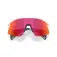 Oakley Occhiali da sole Stunt devil s