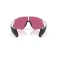 Oakley Occhiali da sole Stunt devil s