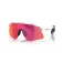 Oakley Gafas de sol Stunt devil s