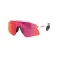 Oakley Stunt devil s solglasögon