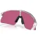 Oakley Stunt devil s solbriller