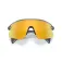 Oakley Gafas de sol Stunt devil s