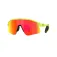 Oakley Stunt devil s solglasögon