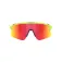 Oakley Stunt devil s sunglasses