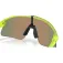 Oakley Stunt devil s solbriller