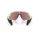 Oakley Stunt devil s solglasögon