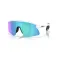 Oakley Occhiali da sole Stunt devil s