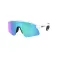 Oakley Gafas de sol Stunt devil s
