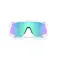 Oakley Gafas de sol Stunt devil s