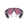 Oakley Stunt devil sunglasses