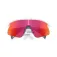 Oakley Stunt devil sunglasses