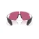 Oakley Stunt devil サングラス