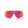 Oakley Stunt devil サングラス