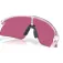 Oakley Lunettes de soleil Stunt devil