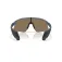 Oakley Gafas de sol Stunt devil