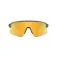 Oakley Stunt devil サングラス