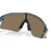 Oakley Gafas de sol Stunt devil