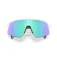 Oakley Stunt devil solglasögon
