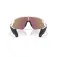 Oakley Lunettes de soleil Stunt devil