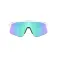 Oakley Stunt devil sunglasses