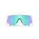 Oakley Stunt devil サングラス